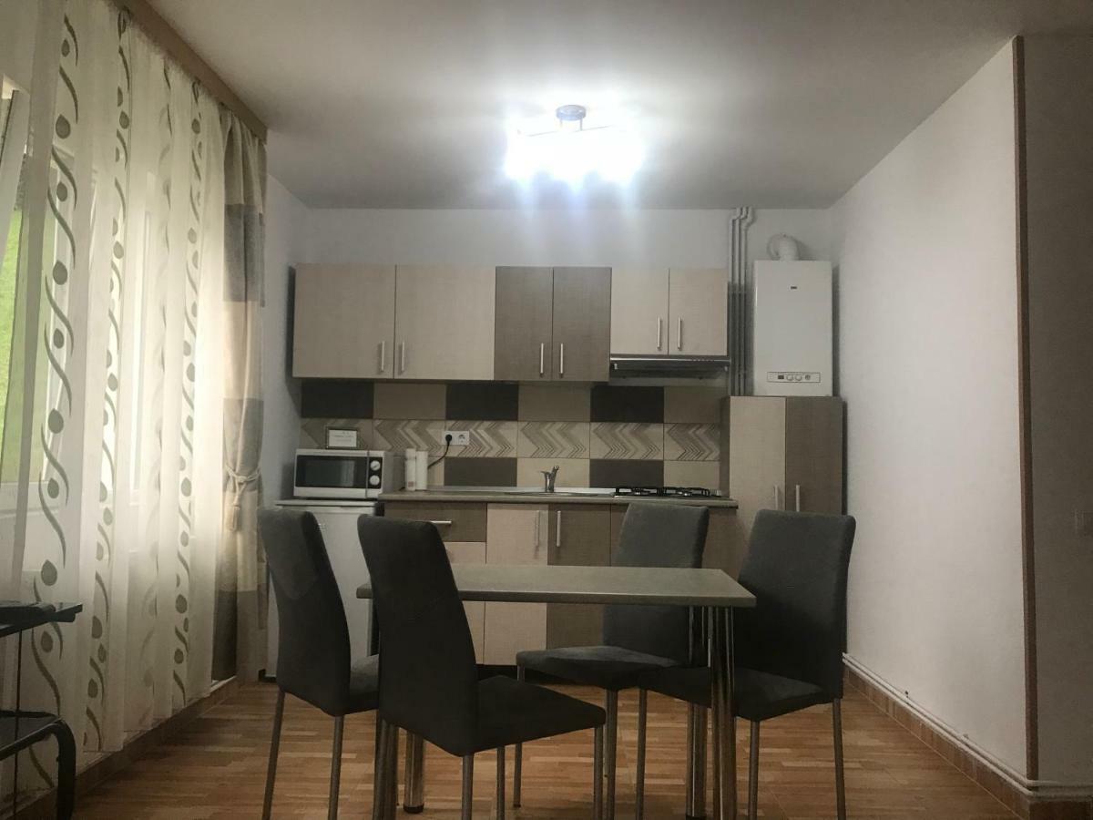 Ferienwohnung Garsoniera Family Buşteni Exterior foto
